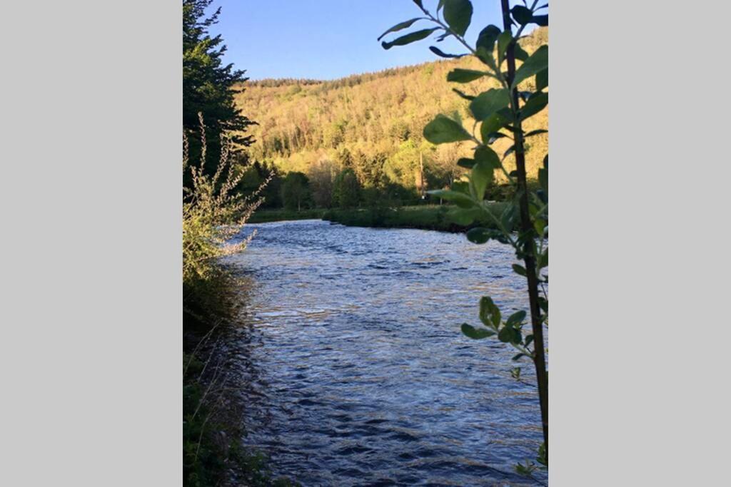 Gite Authentic Ardenne Vresse-sur-Semois Kültér fotó
