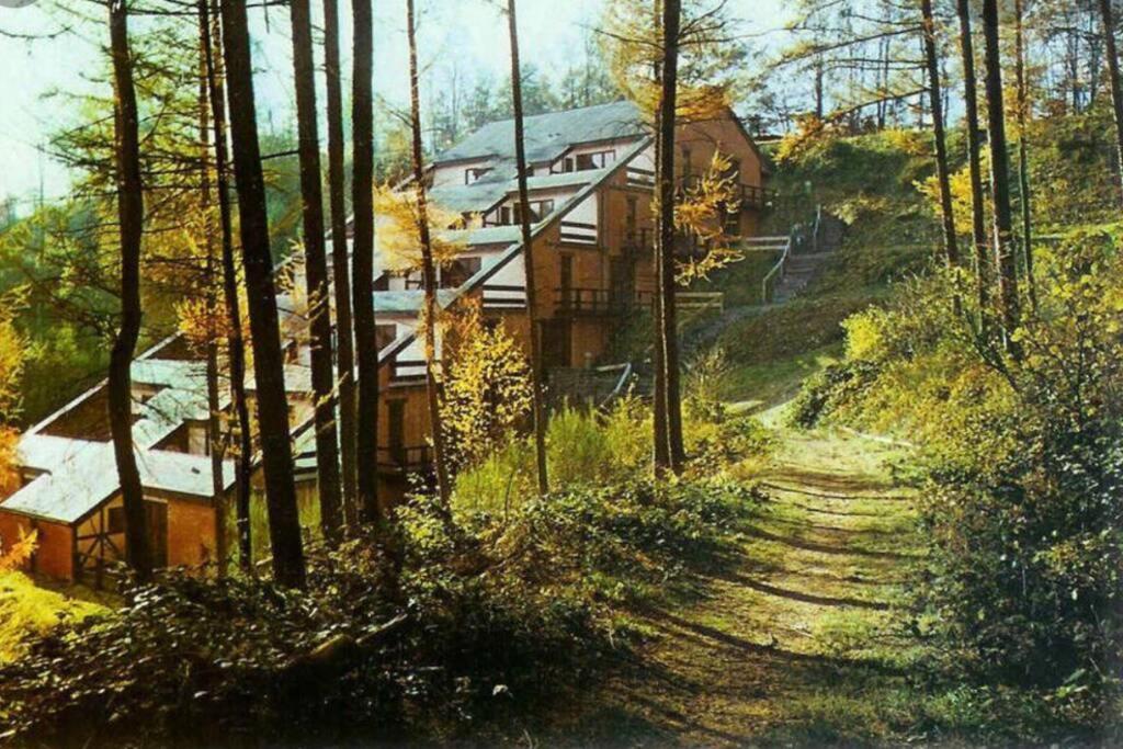 Gite Authentic Ardenne Vresse-sur-Semois Kültér fotó